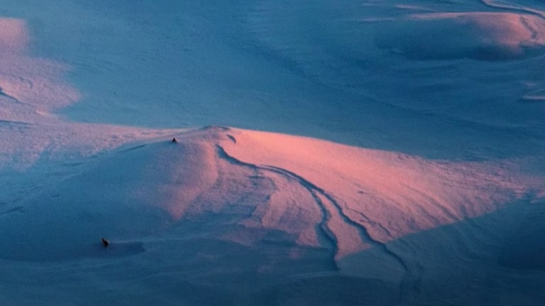 Voyage à l'intérieur du monde